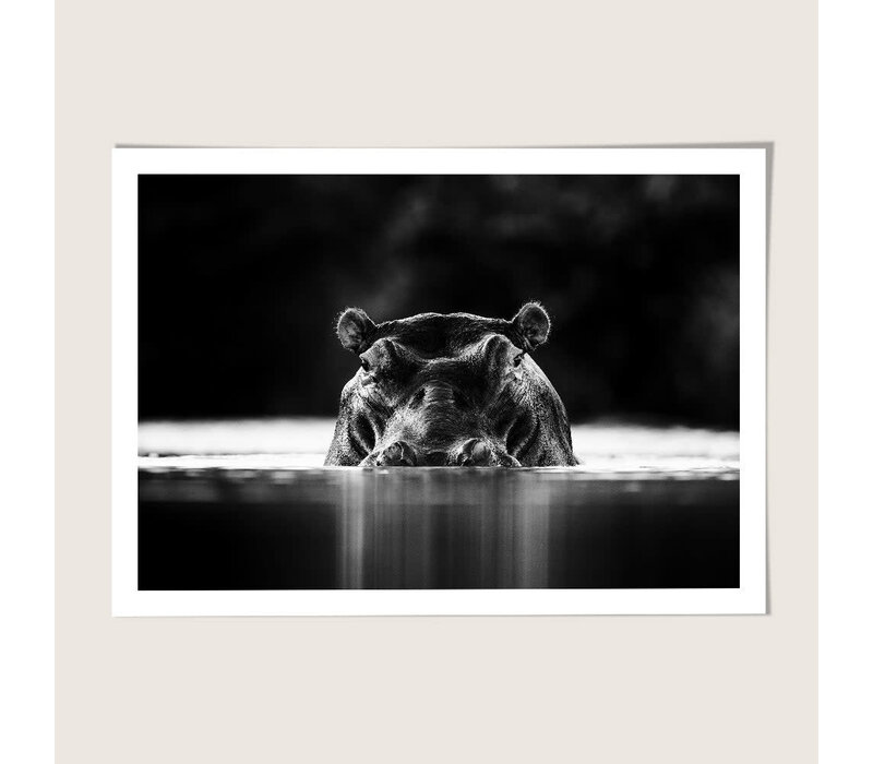 Hippopotamus - Lance van de Vyver | 30x40 cm
