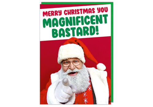 Xmas Merry Christmas You magnificent bastard