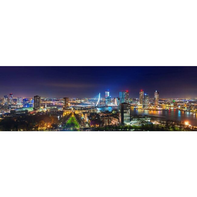 The view of Rotterdam skyline