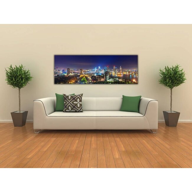 The view of Rotterdam skyline