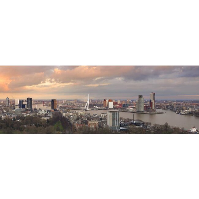 Pink sky | Rotterdam Skyline