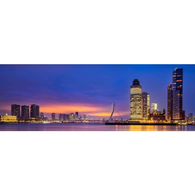 Rotterdam Connected | Rotterdam skyline