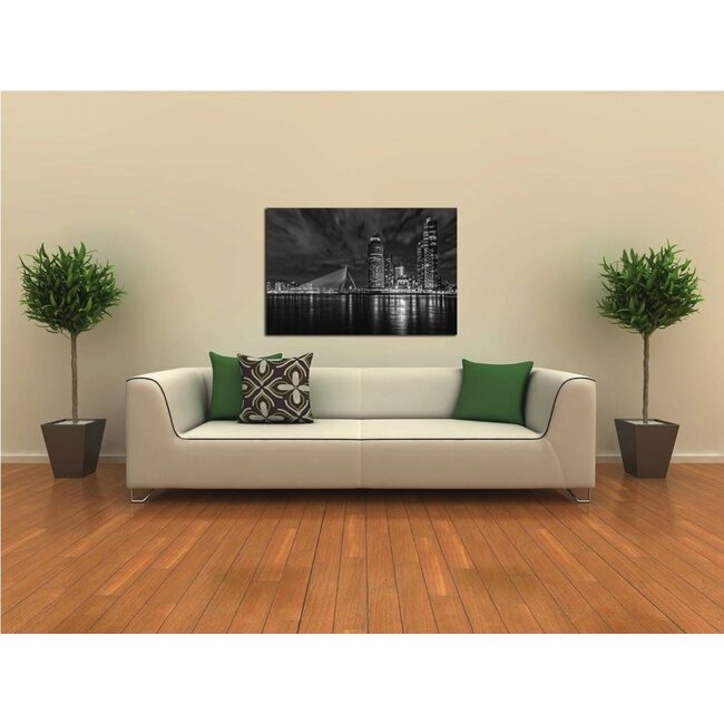 Rotterdam Lights | Rotterdam skyline