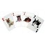 Kikkerland 3D speelkaarten-katten