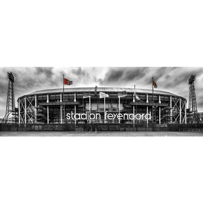 Rotterdam Stadion | Rotterdam skyline