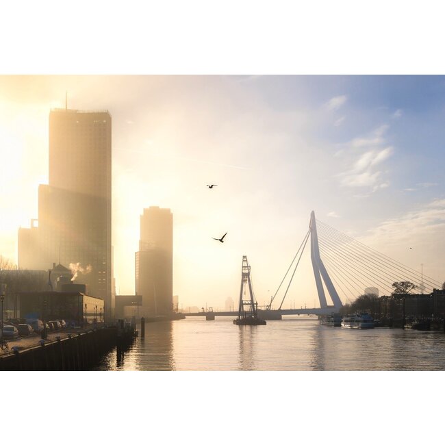 Matador en Erasmusbrug