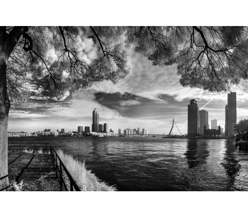 Katendrecht view