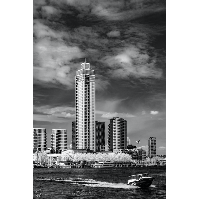Zalmhaven met watertaxi - Rotterdam