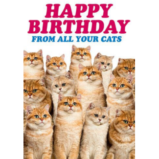Happy Birthday from all your cats