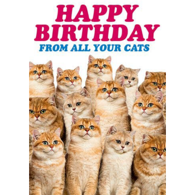 Happy Birthday from all your cats