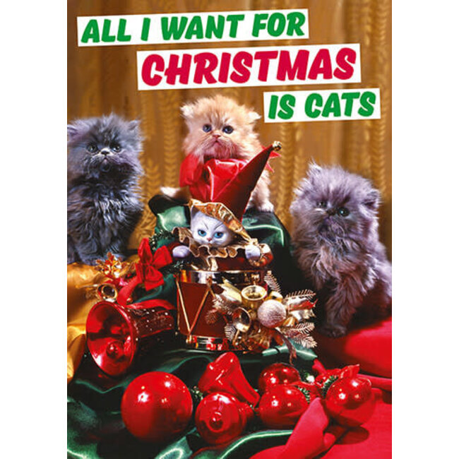 All I want for christmas is cats