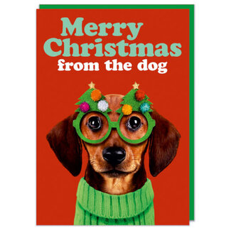 Xmas Merry Christmas from the dog