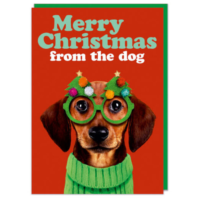 Xmas Merry Christmas from the dog