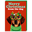 Xmas Merry Christmas from the dog