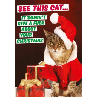 See this cat.. it doesn't give a f*ck about your Christmas