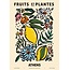 PSTR Studio Zoe - Fruits et Plantes - Athens | 30x40 cm