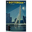 Louissons Rotterdam | Erasmusbrug (avond) | 60x40cm