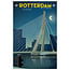 Louissons Rotterdam | Erasmusbrug (avond) | 30x20cm