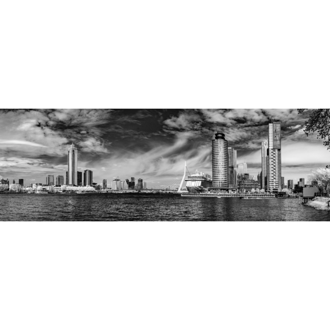 MS Rotterdam panorama zalmtoren en cruiseschip | zwart wit foto | Frank van der Panne