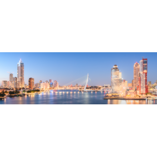 Rotterdam panorama helderblauwe hemel zalmtoren