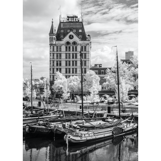 Witte huis Rotterdam | Oude Haven in Bloesem | Frank van der Panne