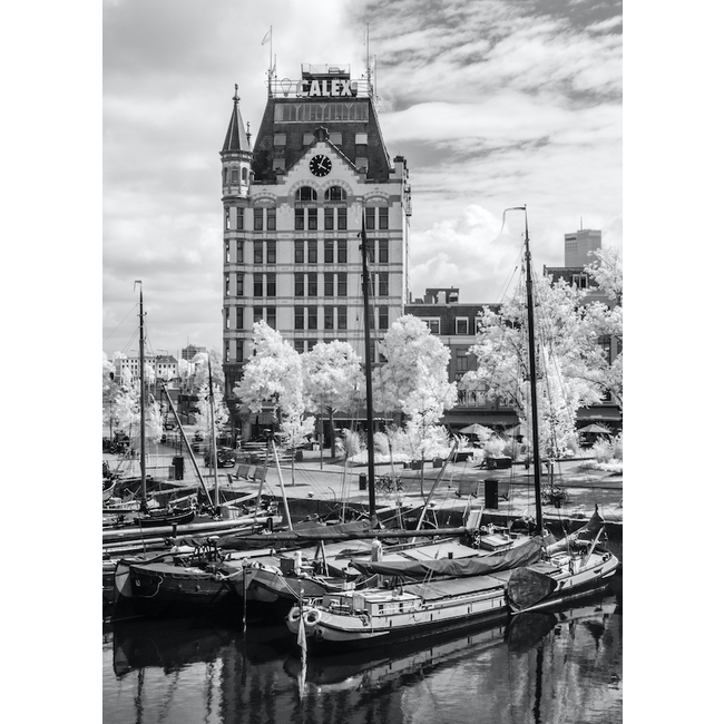 Witte huis Rotterdam | Oude Haven in Bloesem | Frank van der Panne