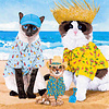 PPD Servetten 25x25cm  Cats Beach Party