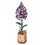 Bloem  Sering lila | Bouwpakket | Bouwset | Miniatuurset | DIY | Modelbouwpakket