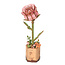 Bloem Roze Roos | Bouwpakket | Bouwset | Miniatuurset | DIY | Modelbouwpakket