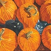 PPD Servetten 25x25cm  Pumpkin Patch Cats