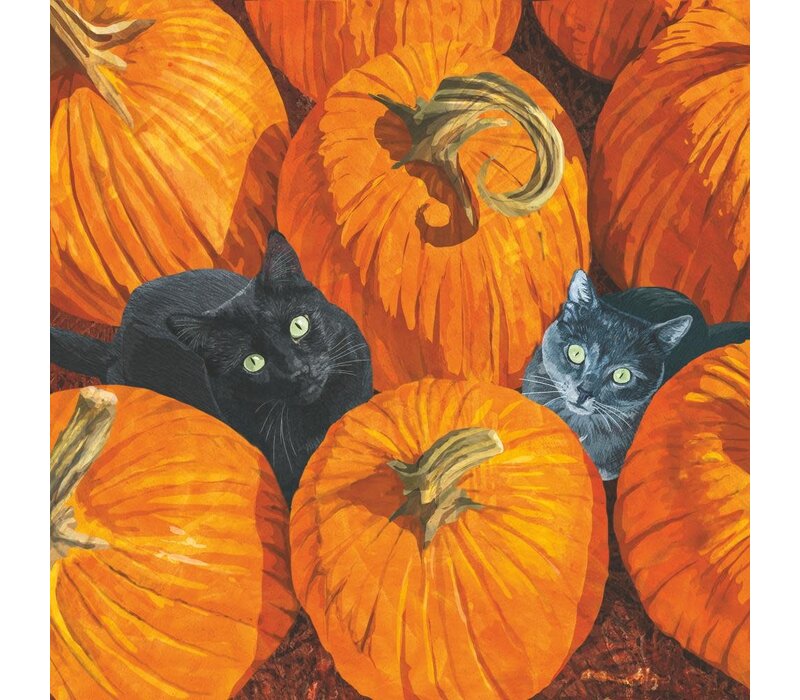 Servetten 25x25cm  Pumpkin Patch Cats