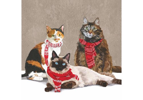 PPD Servetten 25x25cm  Scarf Cats