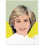 Diana card