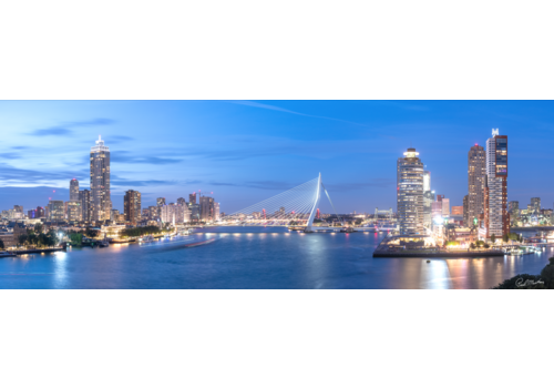 Paul Martens Erasmusbrug | The Bridge of Rotterdam