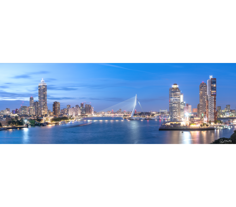 Erasmusbrug | The Bridge of Rotterdam