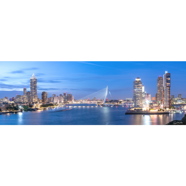 Erasmusbrug | The Bridge of Rotterdam