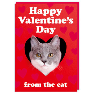 Happy Valentines day from the cat