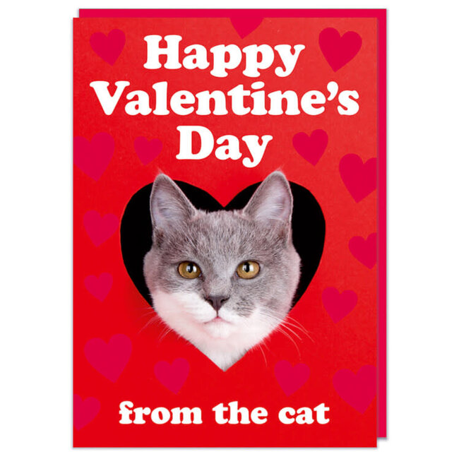 Happy Valentines day from the cat