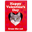 Happy Valentines day from the cat