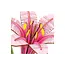 Bloem Rose Lelie | Bouwpakket | Bouwset | Miniatuurset | DIY | Modelbouwpakket