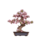 Bonsai boompje | Bouwpakket | Bouwset | Miniatuurset | DIY | Modelbouwpakket