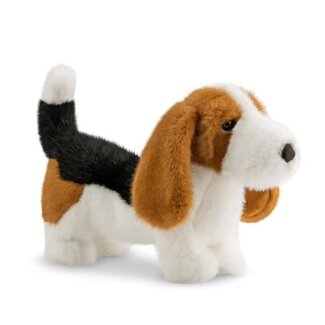 Borealis basset 36 cm