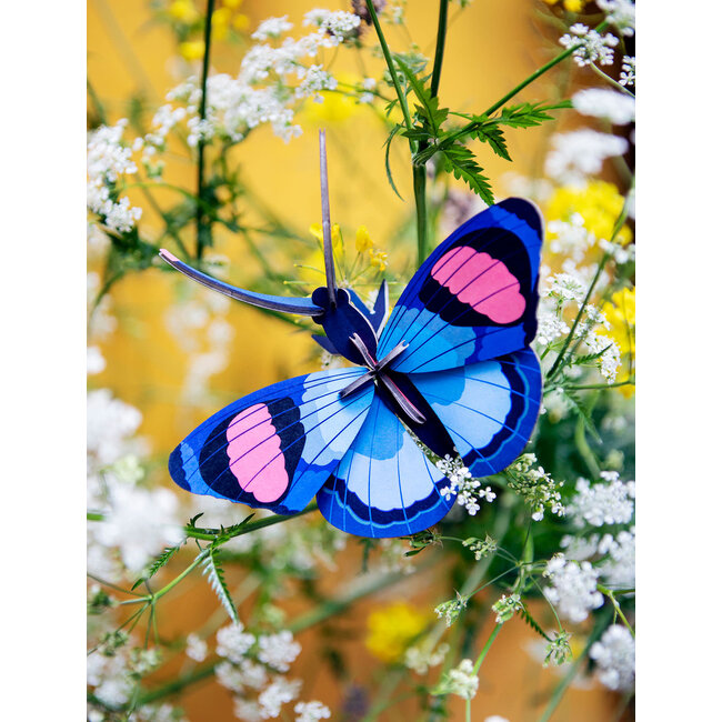 Studio ROOF Small Insects - Peacock butterfly