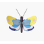 Studio ROOF Small Insects - Yellow Monarch Butterfly | Vlinder | DIY | Insect