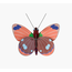 Studio ROOF Small Insects - Delias Butterfly | Vlinder | Diy | Insect