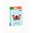 Studio ROOF Small Insects - Delias Butterfly