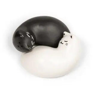 Kikkerland Purrfect Salt and Pepper shakers
