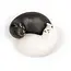 Kikkerland Purrfect Salt and Pepper shakers