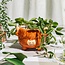 Highland Cow mini potje