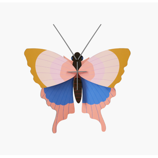 Studio ROOF Small Insects - Gold Rim Butterfly | Vlinder | DIY | Insect